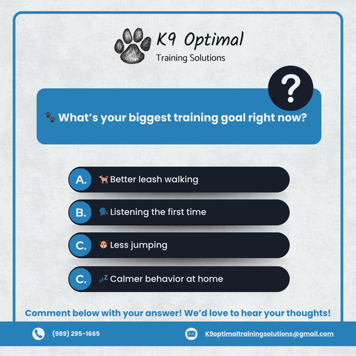 Make May Marvelous: Transform Your Dog’s Behavior with K9 Optimal Training Solutions in Midland, MI 3 Dog learning new skills