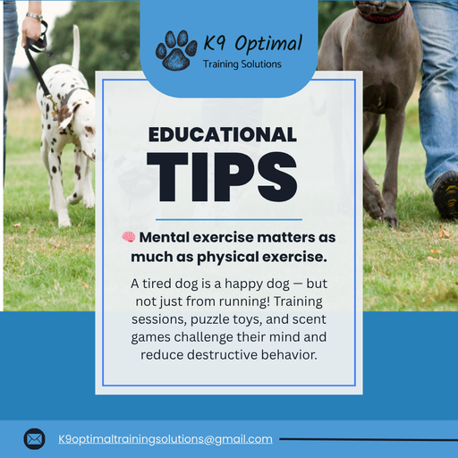 Dog Behavior Solutions Midland MI