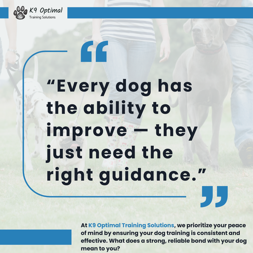 Make May Marvelous: Transform Your Dog’s Behavior with K9 Optimal Training Solutions in Midland, MI 1 Dog training session