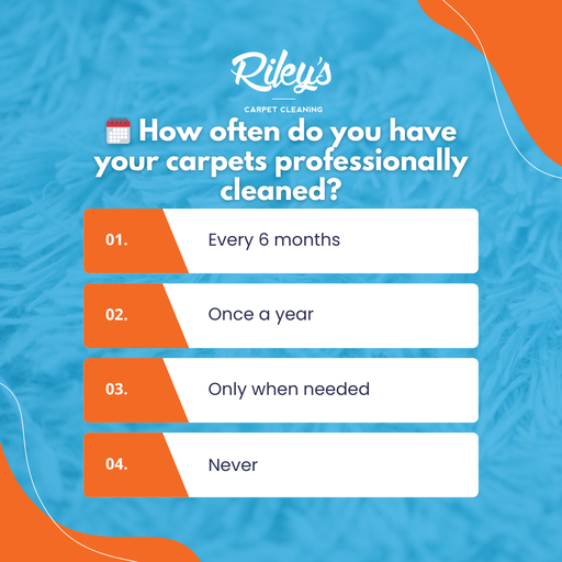 Upholstery Cleaning