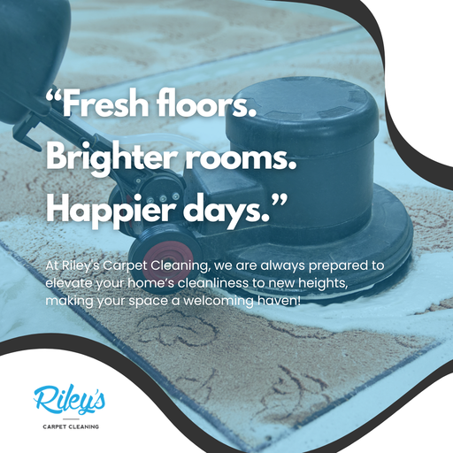 Carpet Cleaning Service
