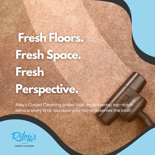 Professional carpet cleaning