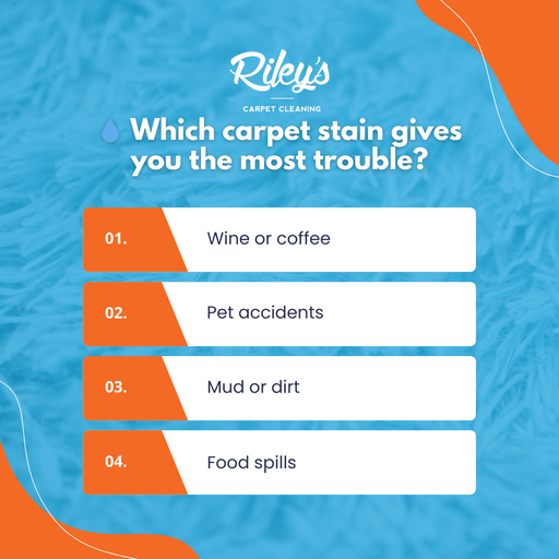 Professional carpet cleaning in progress