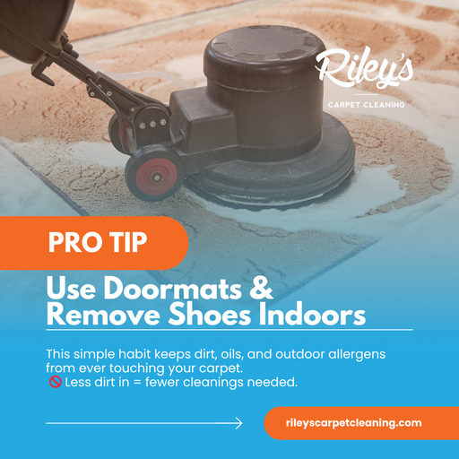 Freshly cleaned carpet