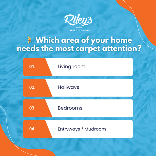 Professional Carpet Cleaning