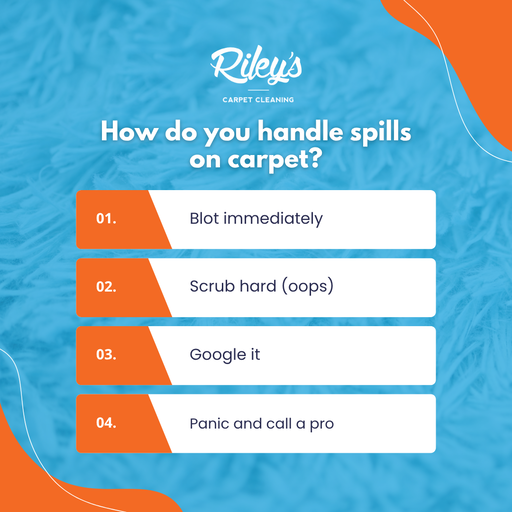 Carpet Cleaning Service