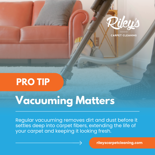 Technician deep cleaning upholstery