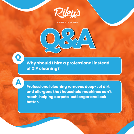 Professional carpet cleaning in action