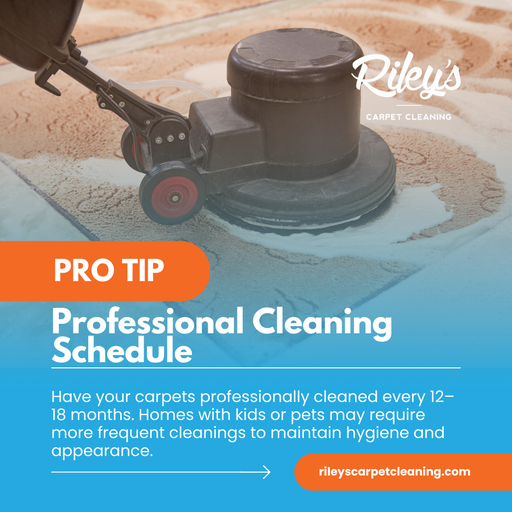 Professional carpet cleaning in action