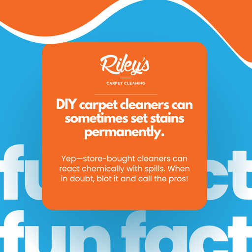 Carpet Cleaning Service
