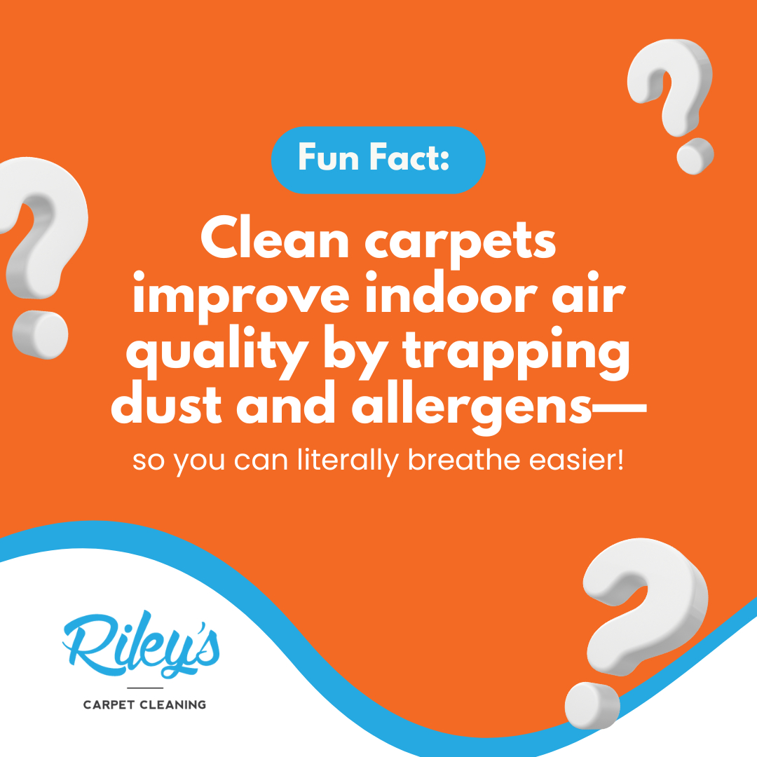 Clean Carpet