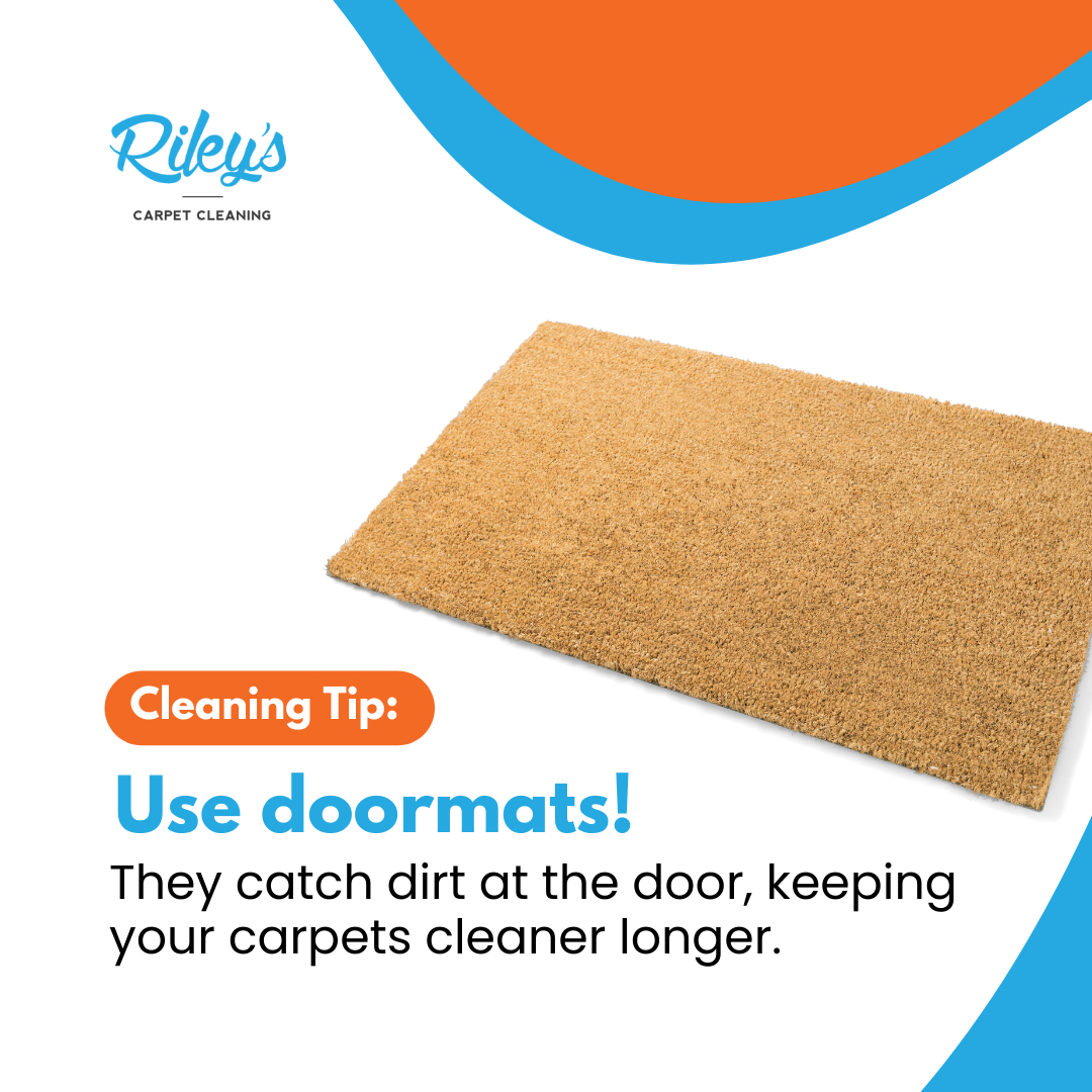 Upholstery Cleaning