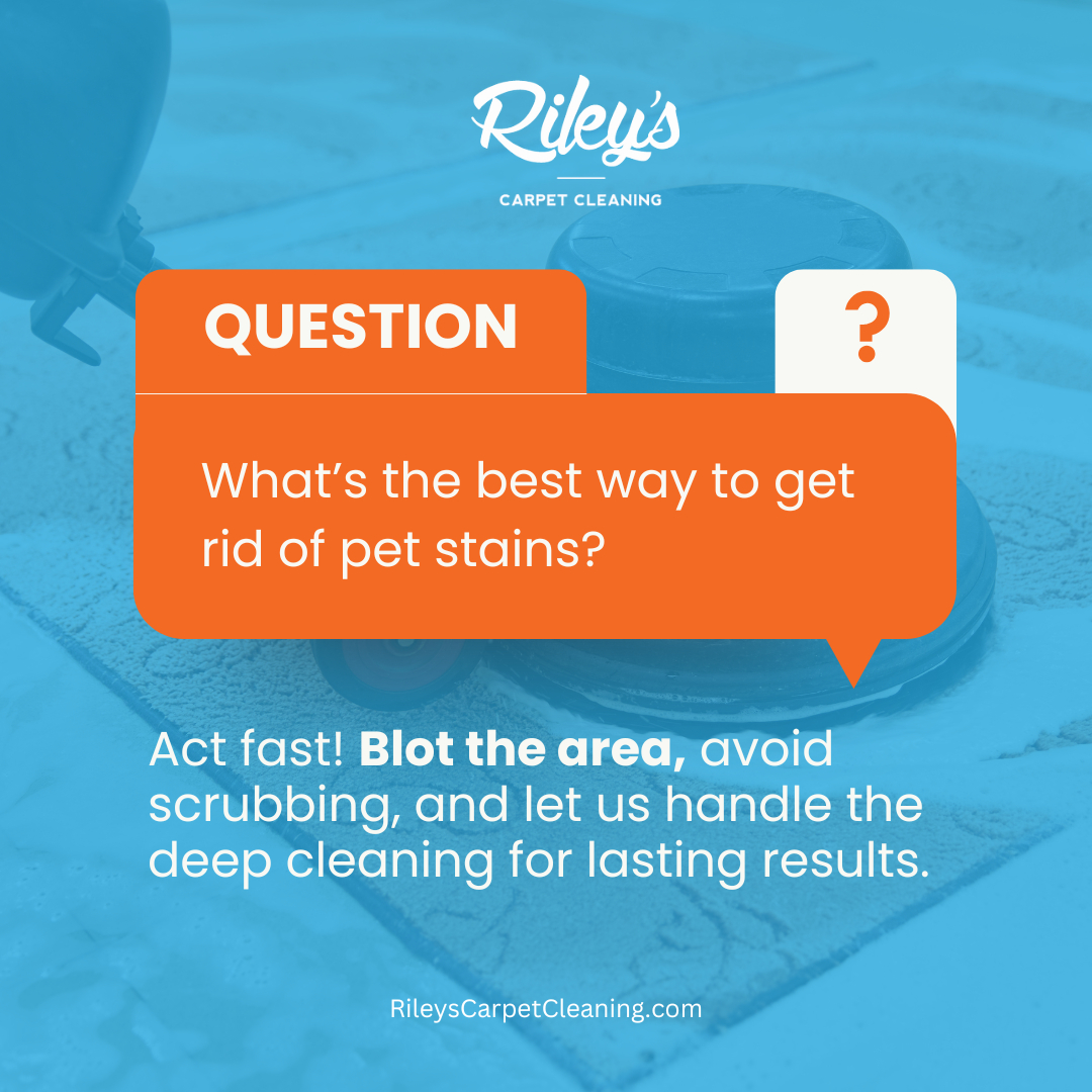 Rug Cleaning