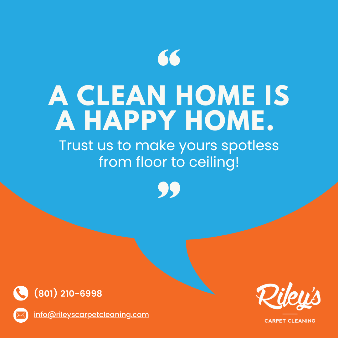 Stain Removal Service