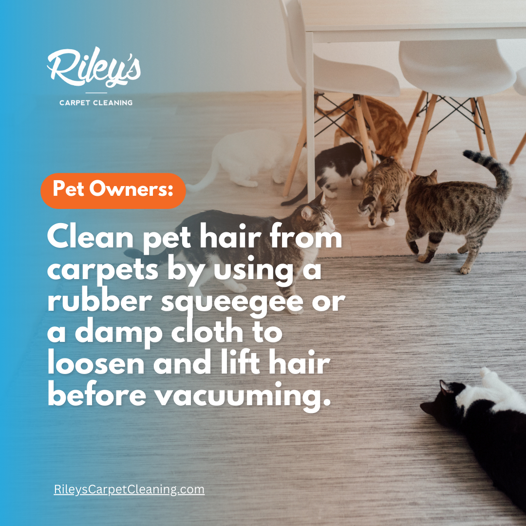Rug Cleaning